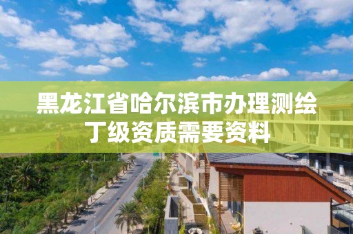 黑龙江省哈尔滨市办理测绘丁级资质需要资料