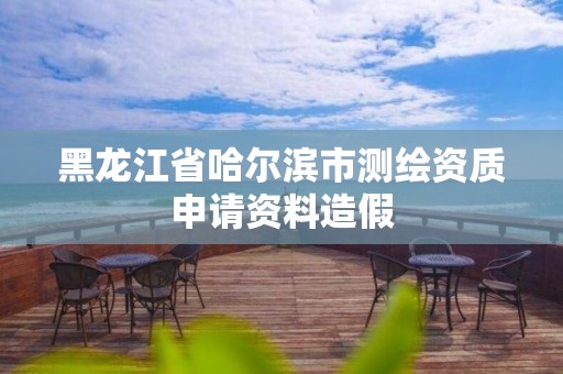 黑龙江省哈尔滨市测绘资质申请资料造假