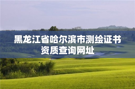 黑龙江省哈尔滨市测绘证书资质查询网址