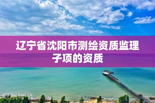 辽宁省沈阳市测绘资质监理子项的资质