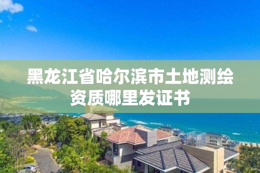 黑龙江省哈尔滨市土地测绘资质哪里发证书