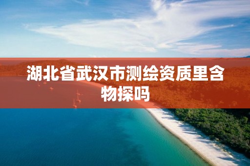 湖北省武汉市测绘资质里含物探吗