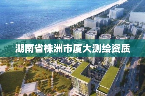 湖南省株洲市厦大测绘资质