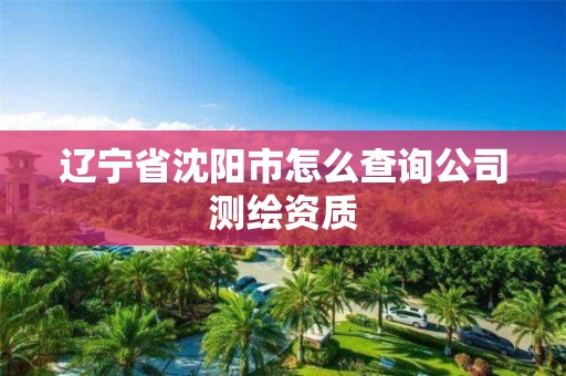 辽宁省沈阳市怎么查询公司测绘资质