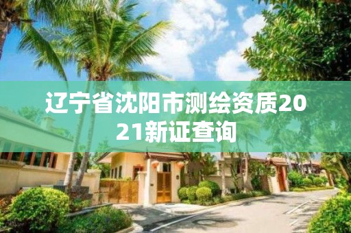 辽宁省沈阳市测绘资质2021新证查询