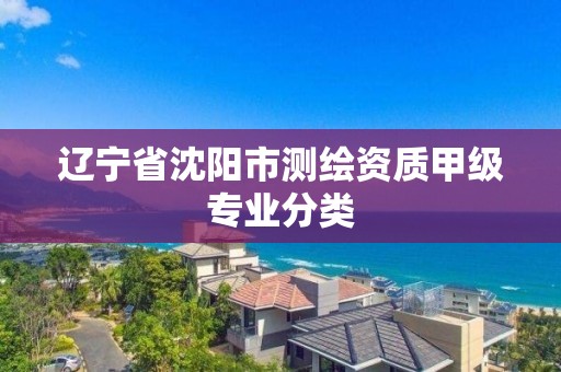 辽宁省沈阳市测绘资质甲级专业分类