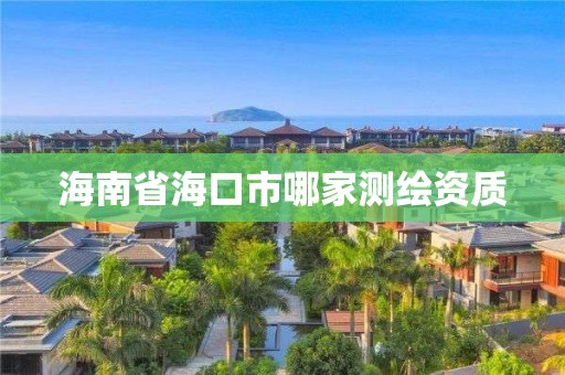 海南省海口市哪家测绘资质