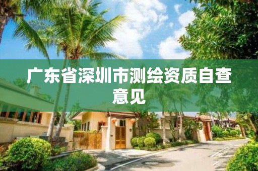 广东省深圳市测绘资质自查意见