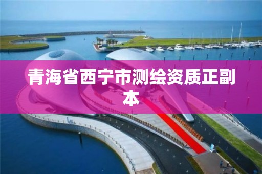 青海省西宁市测绘资质正副本