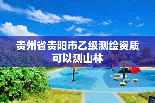 贵州省贵阳市乙级测绘资质可以测山林