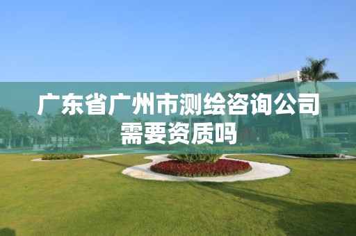 广东省广州市测绘咨询公司需要资质吗