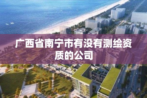 广西省南宁市有没有测绘资质的公司