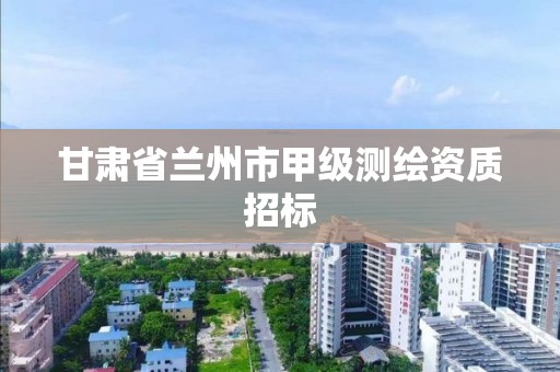 甘肃省兰州市甲级测绘资质招标