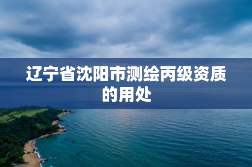 辽宁省沈阳市测绘丙级资质的用处