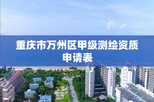 重庆市万州区甲级测绘资质申请表