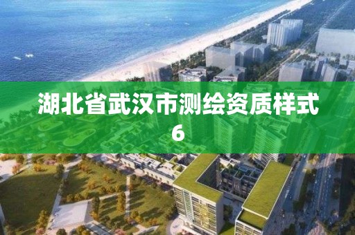 湖北省武汉市测绘资质样式6