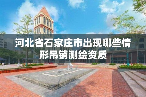 河北省石家庄市出现哪些情形吊销测绘资质