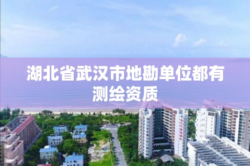 湖北省武汉市地勘单位都有测绘资质