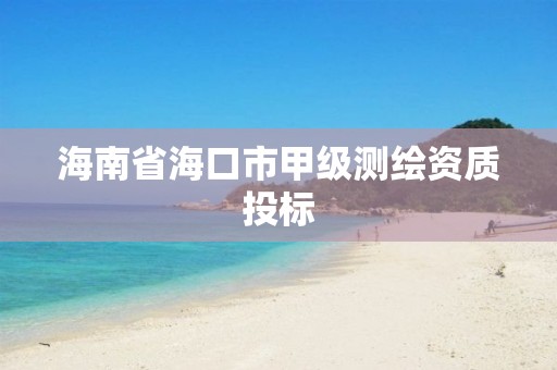 海南省海口市甲级测绘资质投标