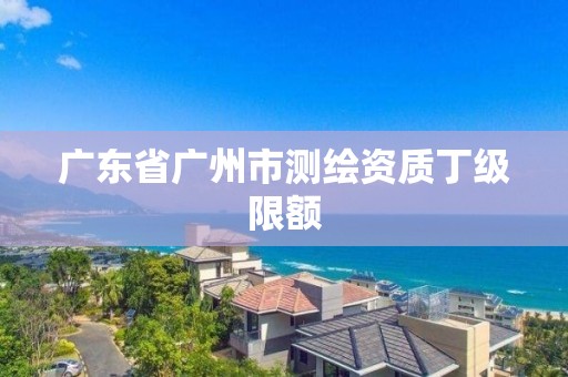 广东省广州市测绘资质丁级限额