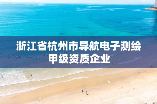 浙江省杭州市导航电子测绘甲级资质企业