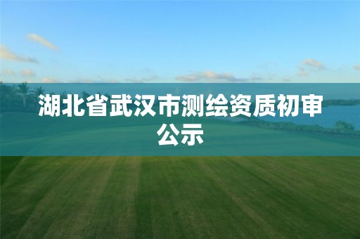 湖北省武汉市测绘资质初审公示