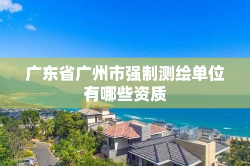 广东省广州市强制测绘单位有哪些资质