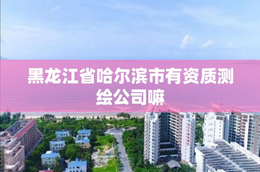 黑龙江省哈尔滨市有资质测绘公司嘛