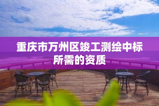 重庆市万州区竣工测绘中标所需的资质