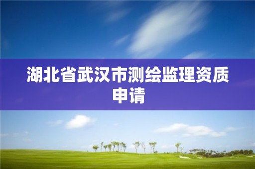 湖北省武汉市测绘监理资质申请