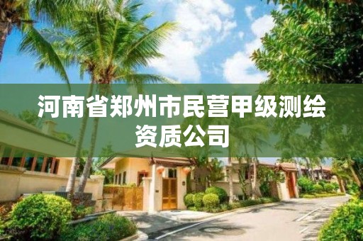 河南省郑州市民营甲级测绘资质公司