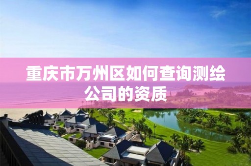 重庆市万州区如何查询测绘公司的资质