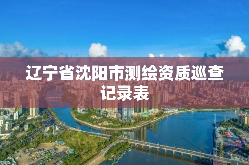 辽宁省沈阳市测绘资质巡查记录表