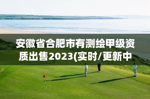 安徽省合肥市有测绘甲级资质出售2023(实时/更新中)