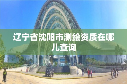 辽宁省沈阳市测绘资质在哪儿查询