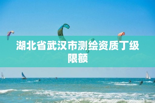 湖北省武汉市测绘资质丁级限额