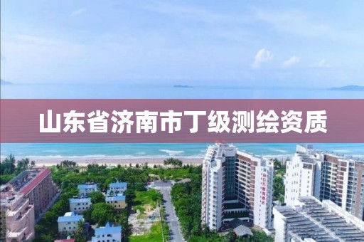 山东省济南市丁级测绘资质