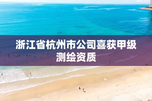 浙江省杭州市公司喜获甲级测绘资质