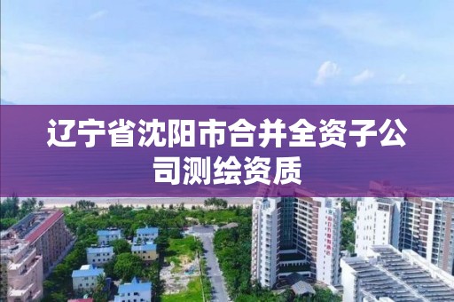 辽宁省沈阳市合并全资子公司测绘资质