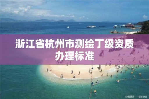 浙江省杭州市测绘丁级资质办理标准