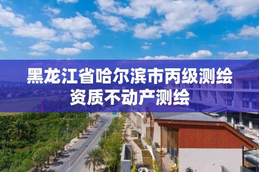 黑龙江省哈尔滨市丙级测绘资质不动产测绘