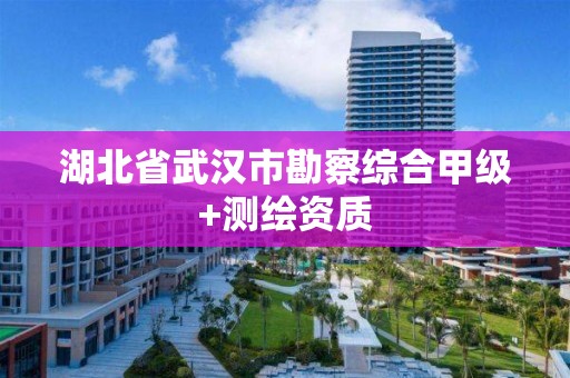 湖北省武汉市勘察综合甲级+测绘资质