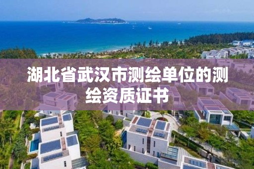 湖北省武汉市测绘单位的测绘资质证书