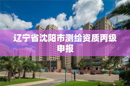 辽宁省沈阳市测绘资质丙级申报