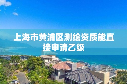 上海市黄浦区测绘资质能直接申请乙级