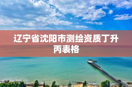 辽宁省沈阳市测绘资质丁升丙表格