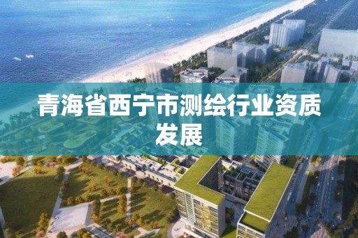 青海省西宁市测绘行业资质发展