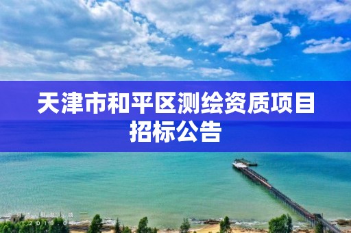 天津市和平区测绘资质项目招标公告