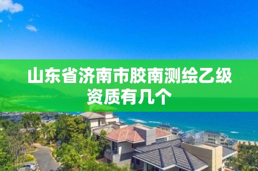 山东省济南市胶南测绘乙级资质有几个