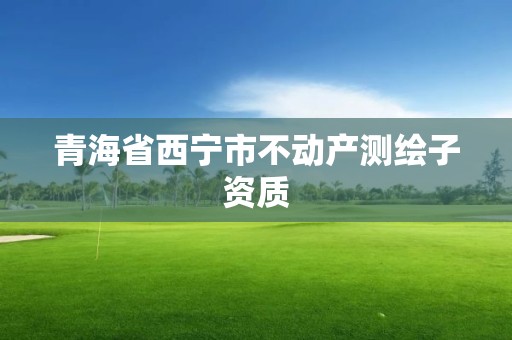 青海省西宁市不动产测绘子资质